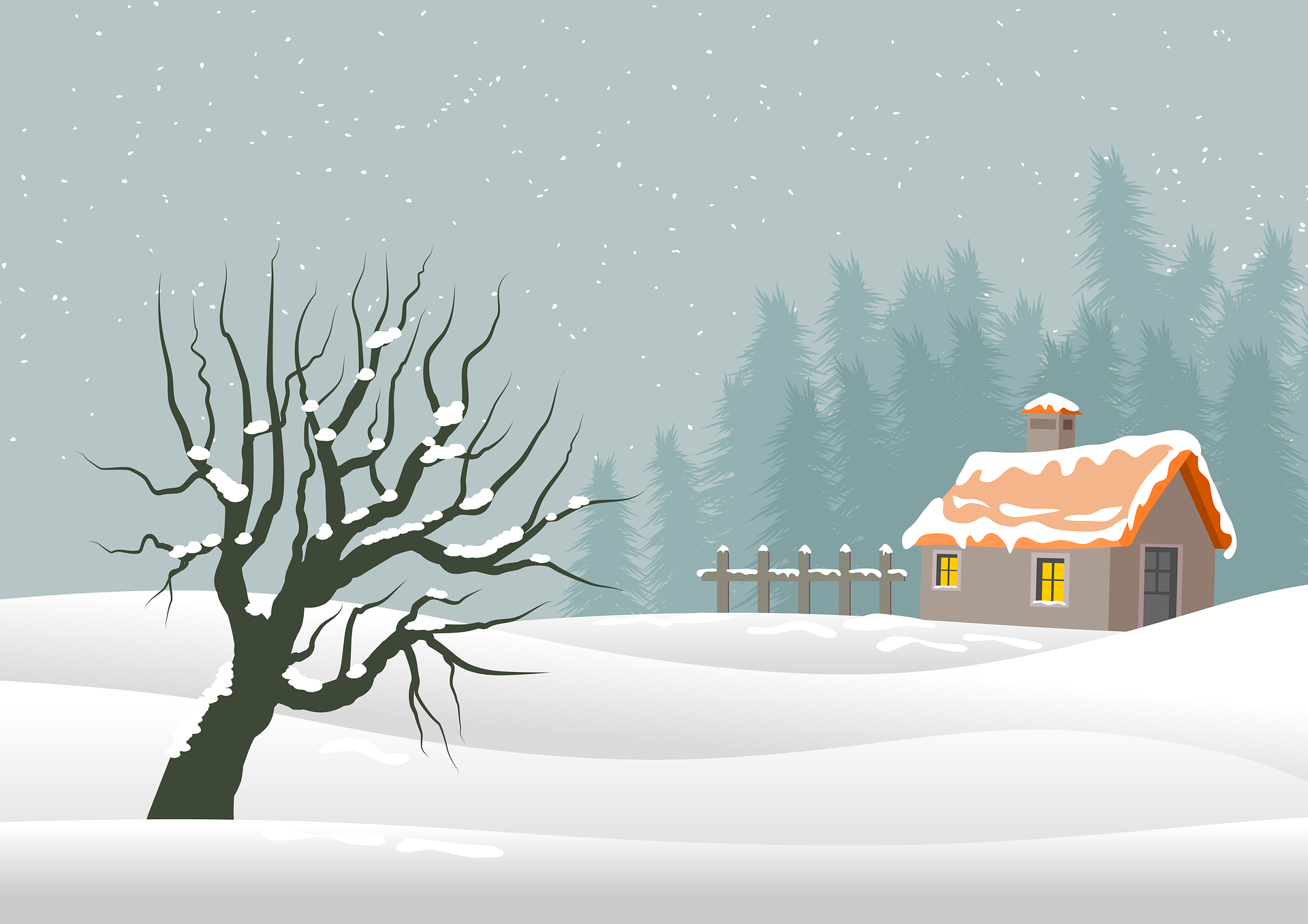 snow
