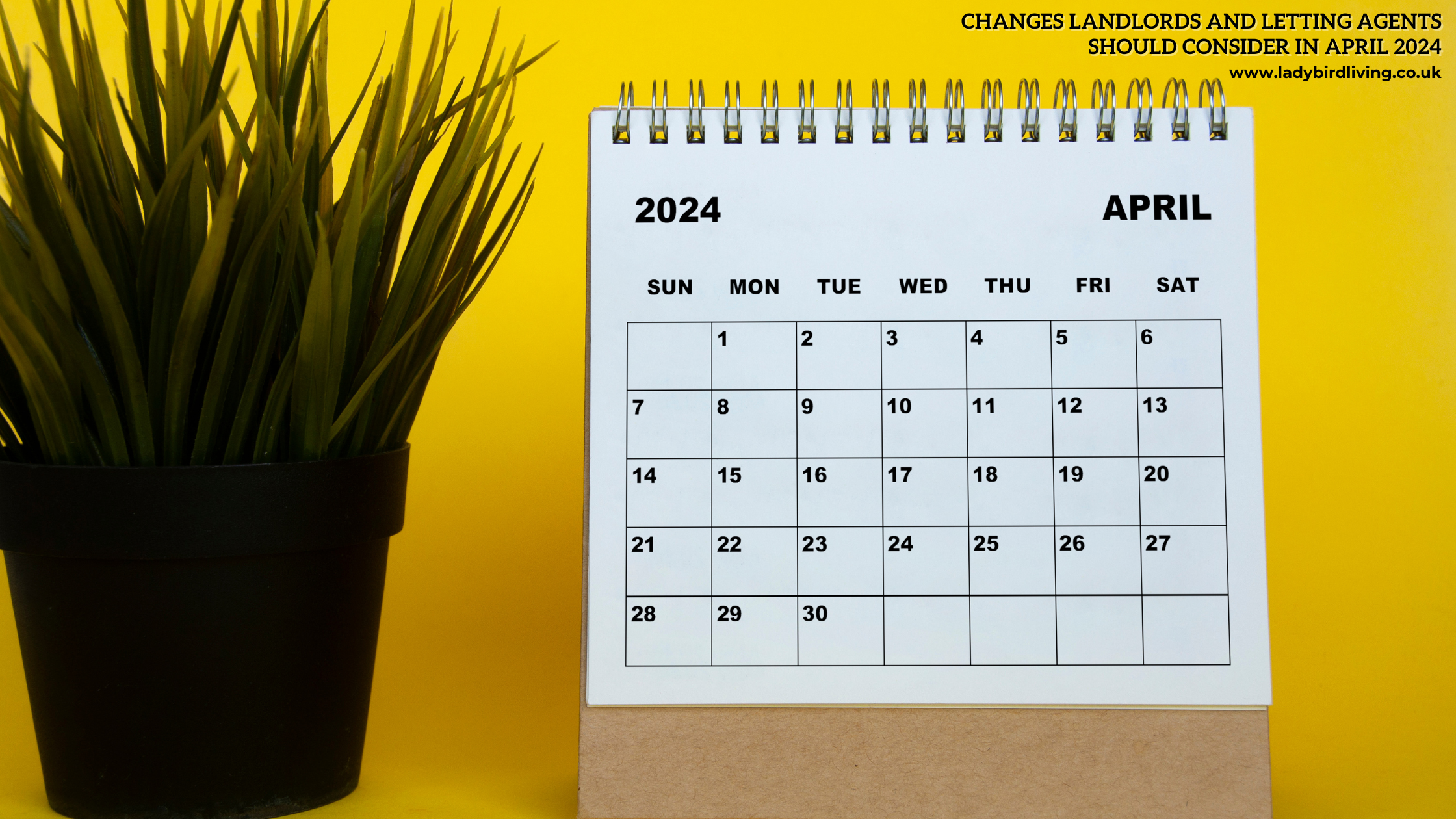 april 24