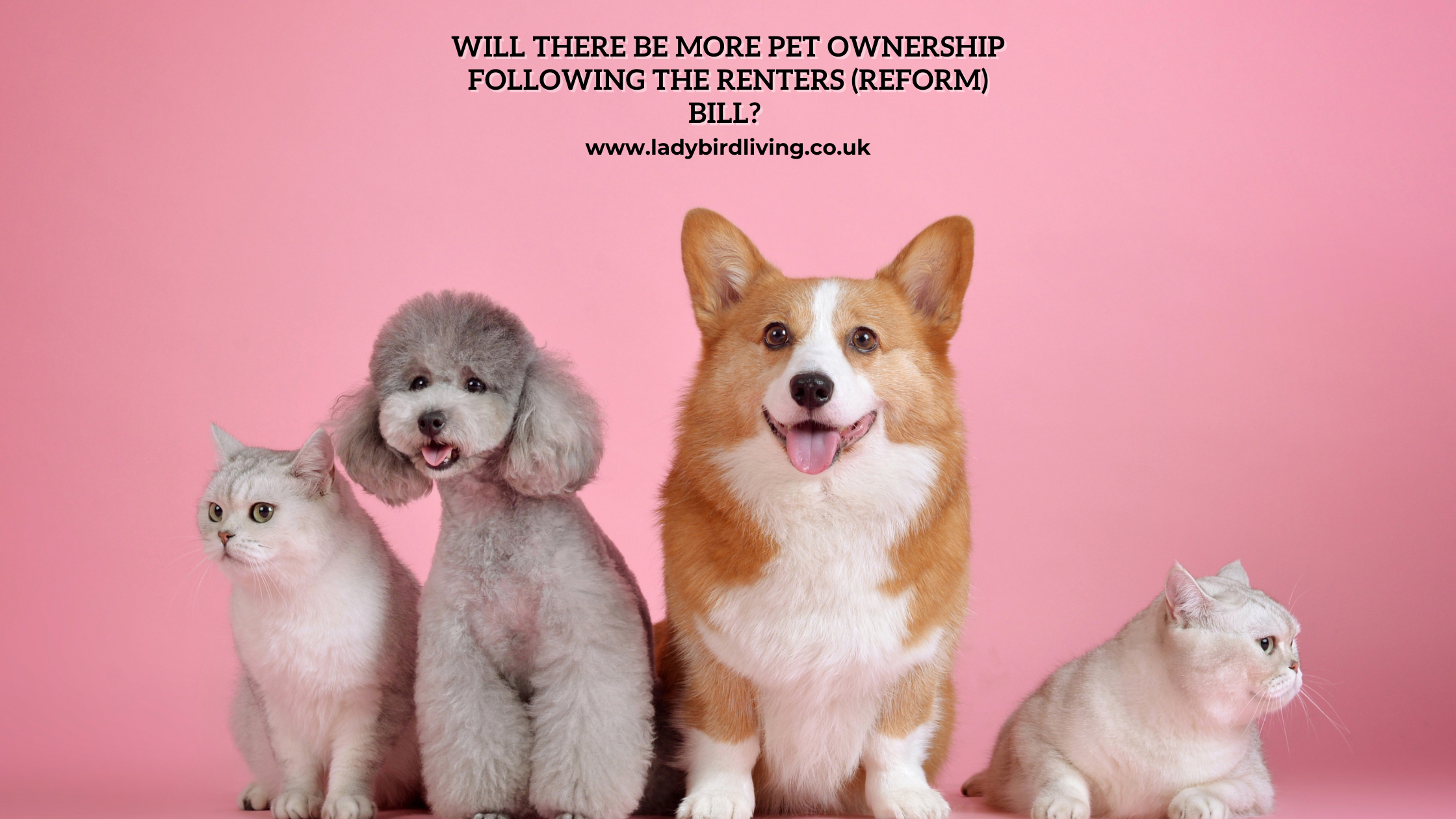 pet ownership