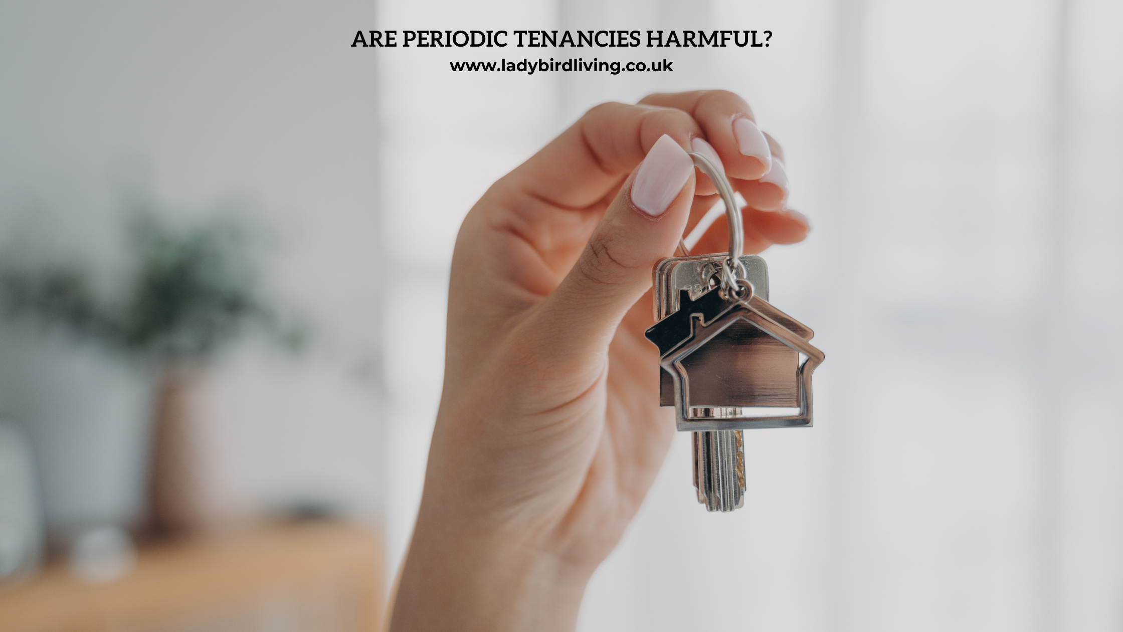 Are Periodic Tenancies Harmful